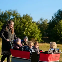 Winther Turtle Kiddy Bus 6pers