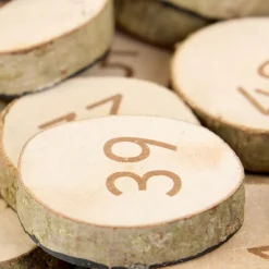 Wooden 1-100 Number Pieces