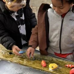 Yellow Door Sensory Stone Fish